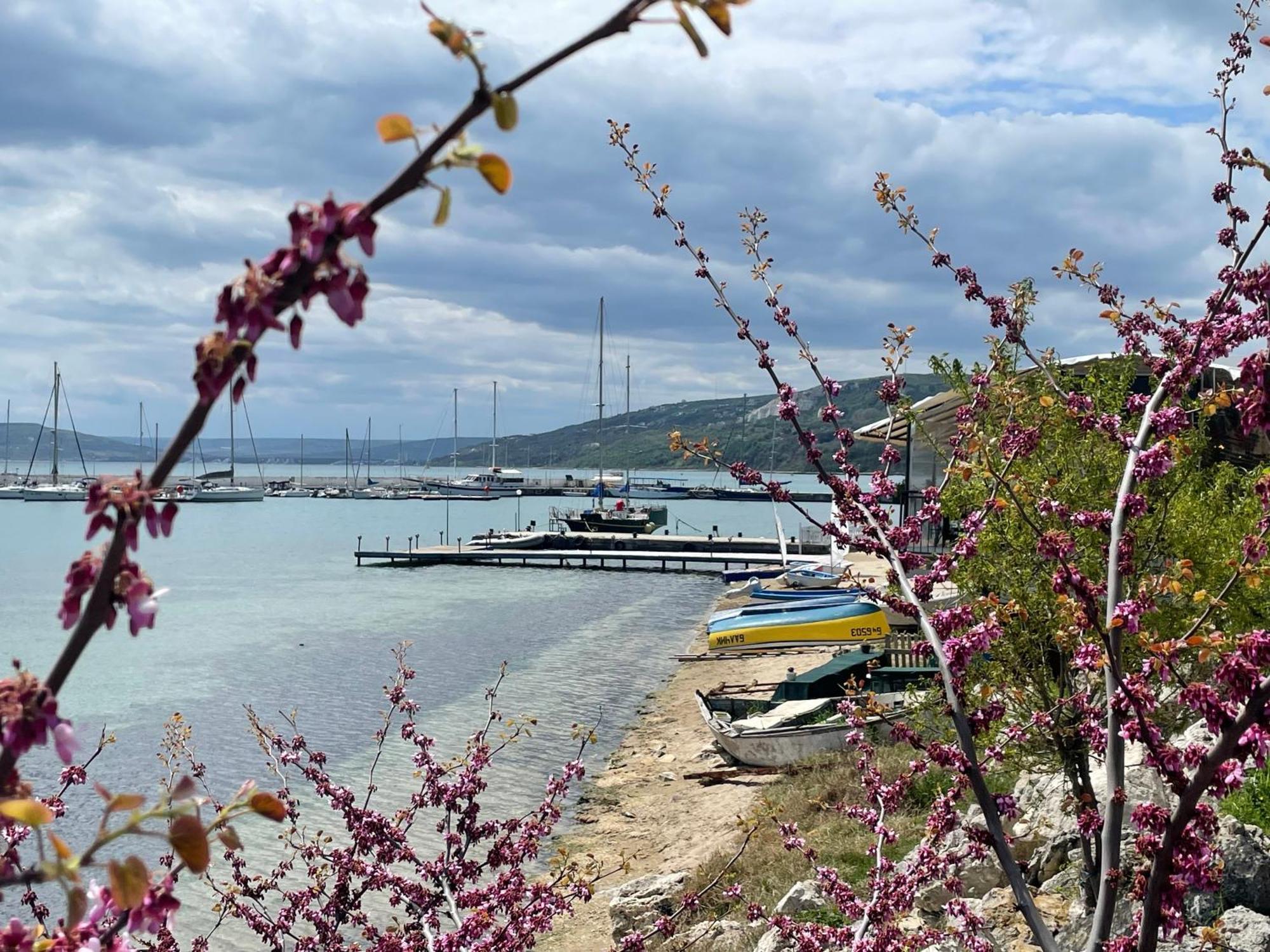 Lotos Hotel Balchik Bagian luar foto